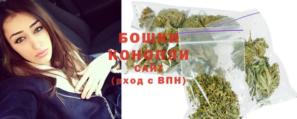крисы Инсар