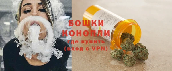 крисы Инсар