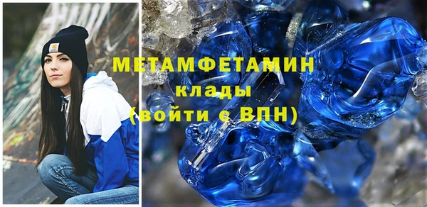 сатива Инта