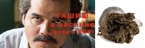 сатива Инта