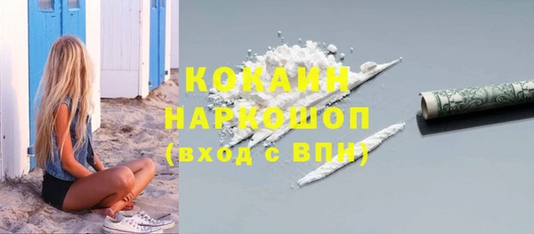 крисы Инсар