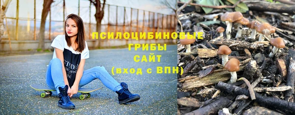 крисы Инсар