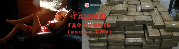 сатива Инта