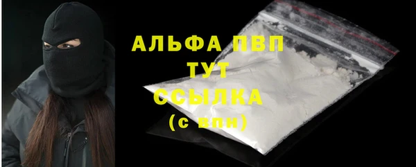 сатива Инта