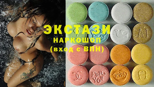 сатива Инта