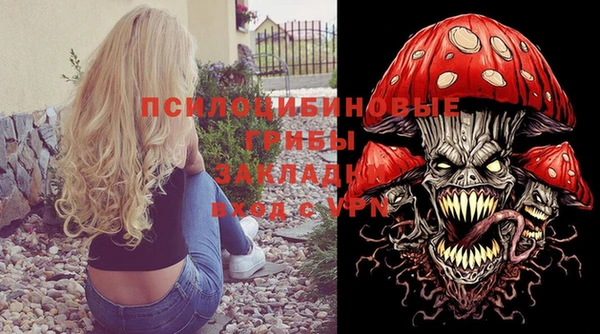 крисы Инсар