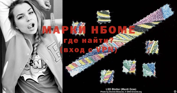 сатива Инта