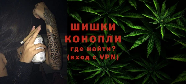 крисы Инсар