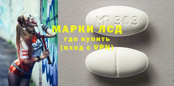 сатива Инта